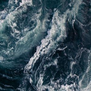 Meet your Posher, Marie